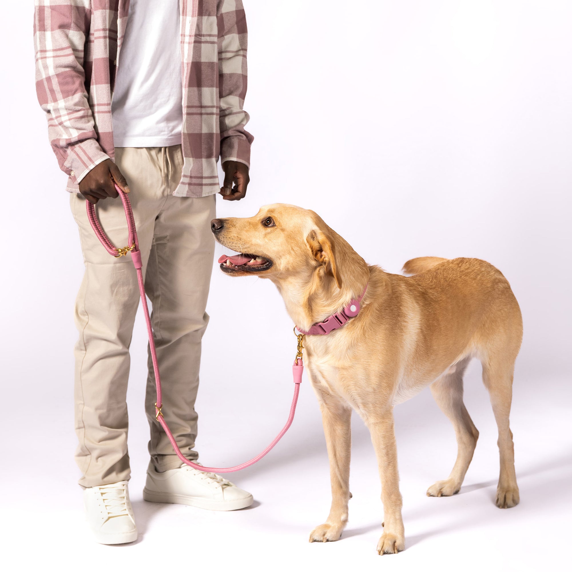 City Leash