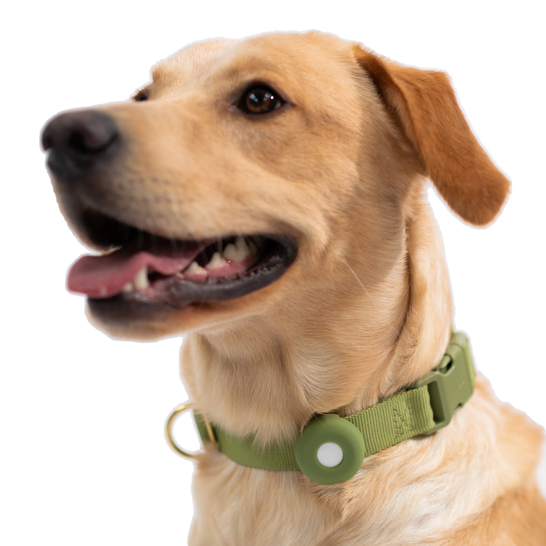 Fetch! AirTag Holder